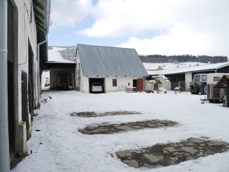 Pod Kasztanem Gospodarstwo Agroturystyczne Stronie Śląskie Dış mekan fotoğraf