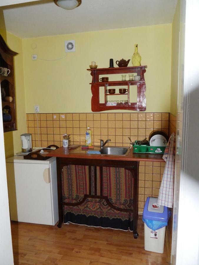 Pod Kasztanem Gospodarstwo Agroturystyczne Stronie Śląskie Dış mekan fotoğraf